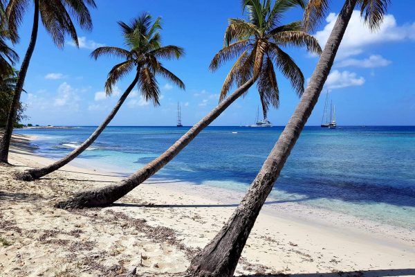 received_602833181071157